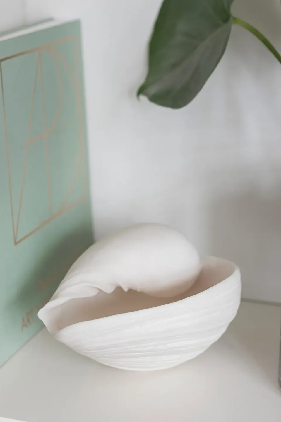 Discount Mette Ditmer Adorno Conch concha, Small Blanco