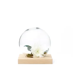 Outlet A2 Adorno Space, Roble aceitado blanco, vidrio Beige