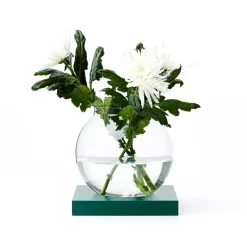 Online A2 Adorno Space, Roble betsad, vidrio Verde