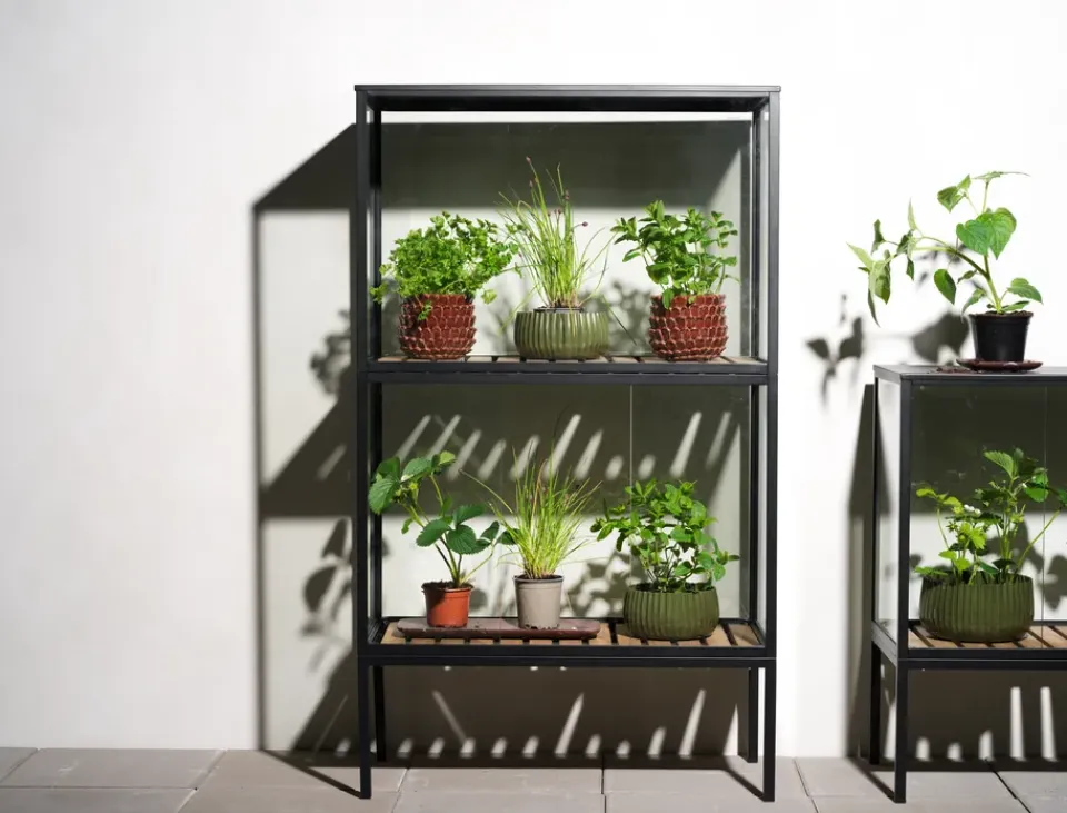 Sale Brafab Armario para plantas Grower Greens, , 81x137 cm Negro