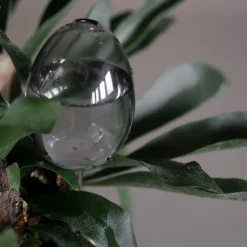 Sale DBKD Autorriego Waterbubble, Clear Transparente