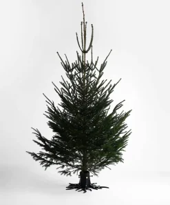 Discount Garden Glory Base para árbol de Navidad , Black matte Negro