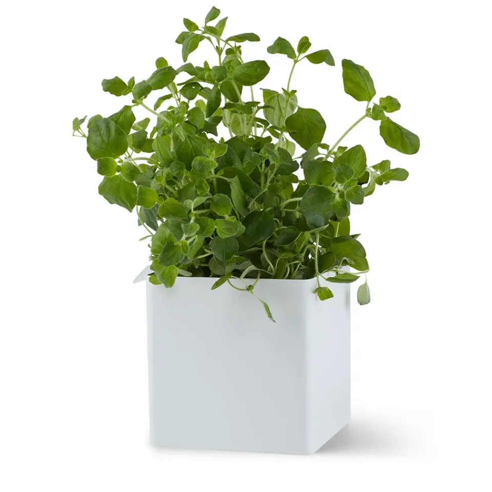 Discount Gejst Caja Flex Box pequeña 10,5 cm, Blanco