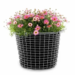 Hot KORBO Cesta Bucket 16, acero resistente a los ácidos Plateado