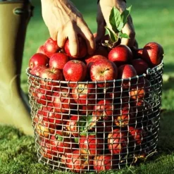Online KORBO Cesta metálica Bucket 20, acero a prueba de ácidos Plateado
