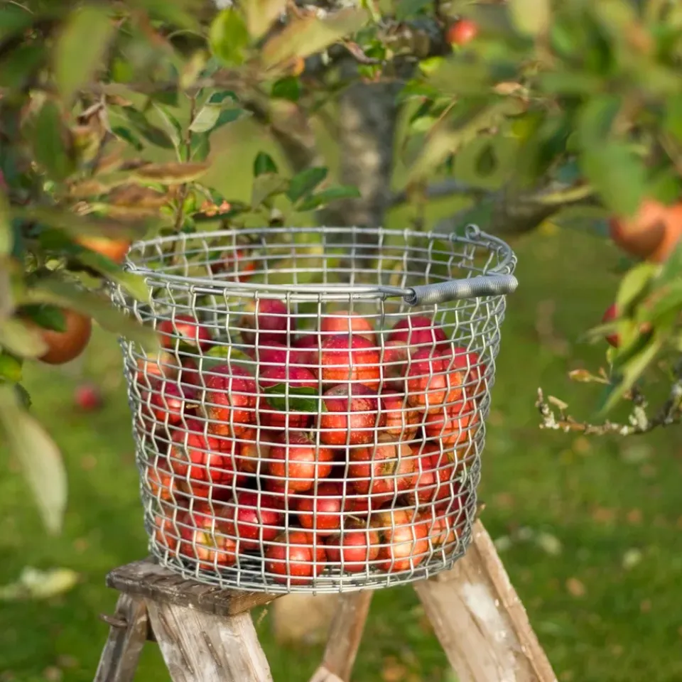 Hot KORBO Cesta metálica Bucket 24, acero galvanizado Plateado