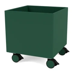 Online Montana Colour Box I – S6161, Pine Verde