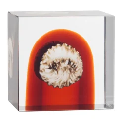 Sale Iittala Cubo anual , 2026 Naranja