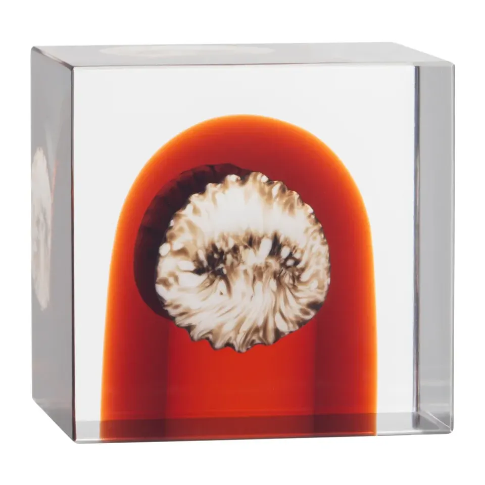 Sale Iittala Cubo anual , 2026 Naranja
