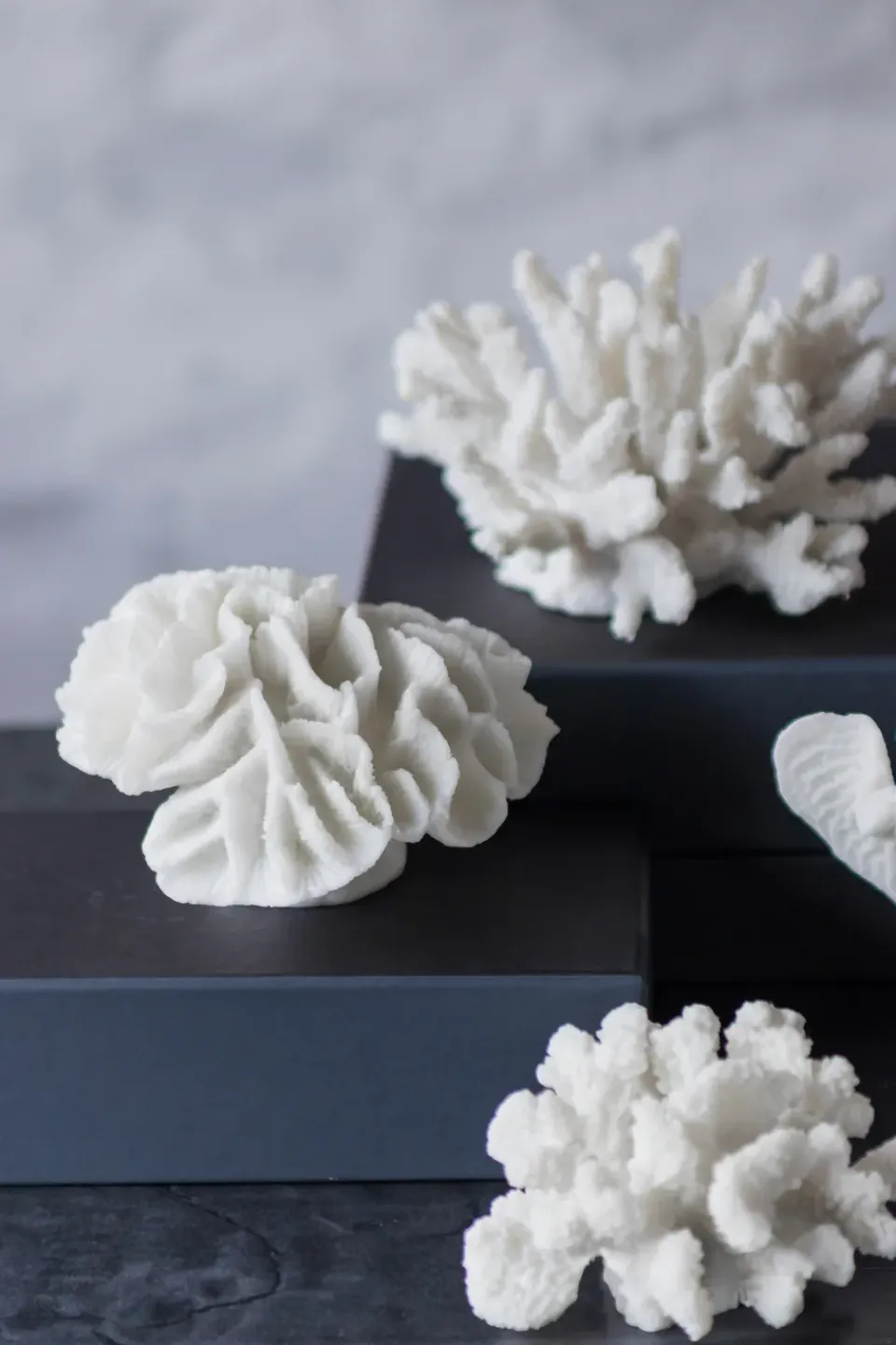 Best Mette Ditmer Decoración Coral branches white, Large Blanco