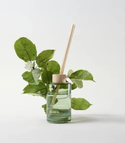 Clearance Skandinavisk Difusor con varillas Fjord, 200 ml Verde