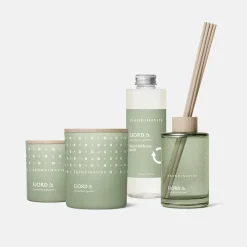 Clearance Skandinavisk Difusor con varillas Fjord, 200 ml Verde