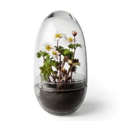 New Design House Stockholm Invernadero Grow, Medium ø11 cm Transparente