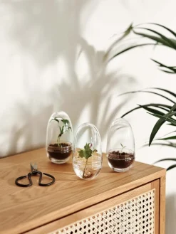 Design House Stockholm Invernadero Grow, Pequeño ø8 cm Transparente