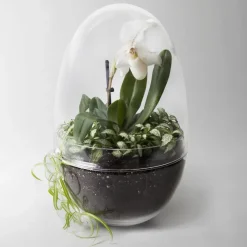 Discount Design House Stockholm Invernadero Grow, x-large Ø20 cm Transparente
