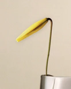 Sale Georg Jensen Jarrón Lituus large 34,2 cm, Acero inoxidable Plateado