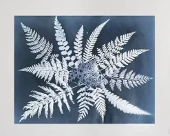 New Fine Little Day Lámina Fern star, 40x50 cm NegroBlanco