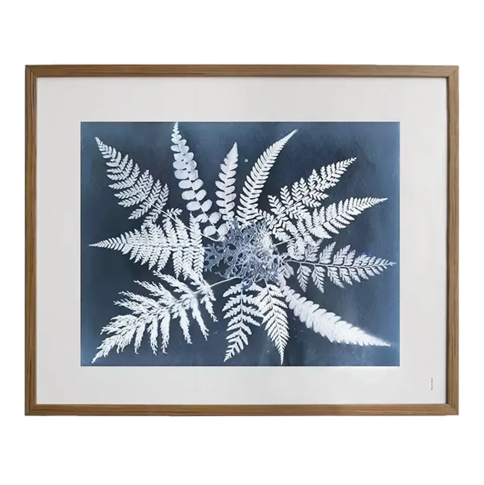 New Fine Little Day Lámina Fern star, 40x50 cm NegroBlanco