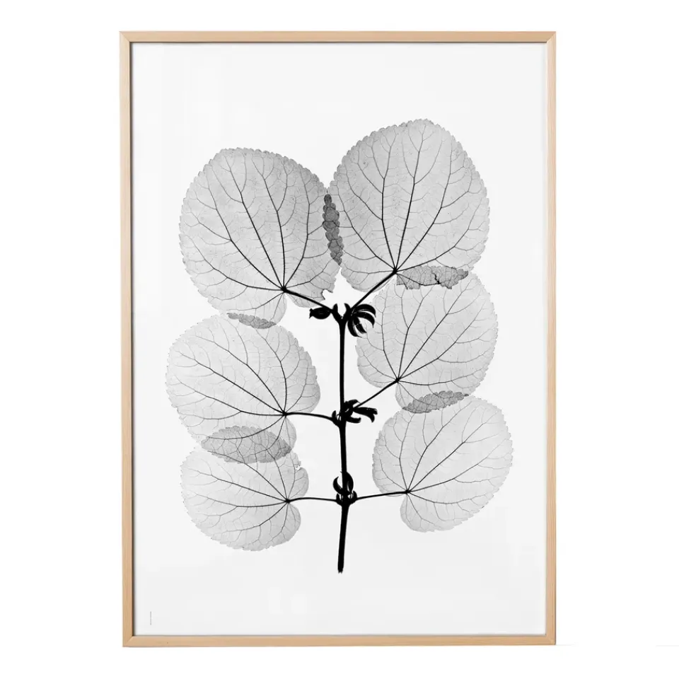 Clearance Fine Little Day Lámina Katsura, 70x100 cm NegroBlanco