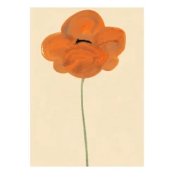 Hot Paper Collective Lámina Orange Vallmo, 30x40 cm RosaRojo