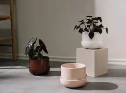 Iittala Maceta con plato Nappula Ø17 cm altura 13 cm, Blanco