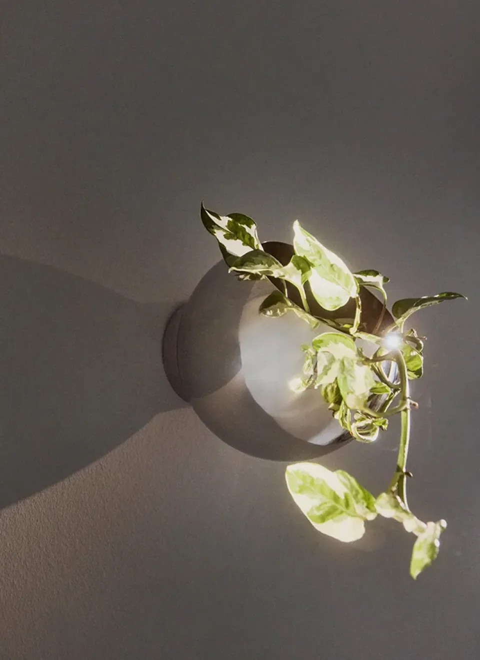 Sale AYTM Maceta de pared Globe Ø17 cm, Plata Plateado