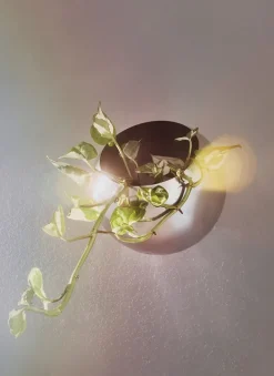 Sale AYTM Maceta de pared Globe Ø17 cm, Plata Plateado