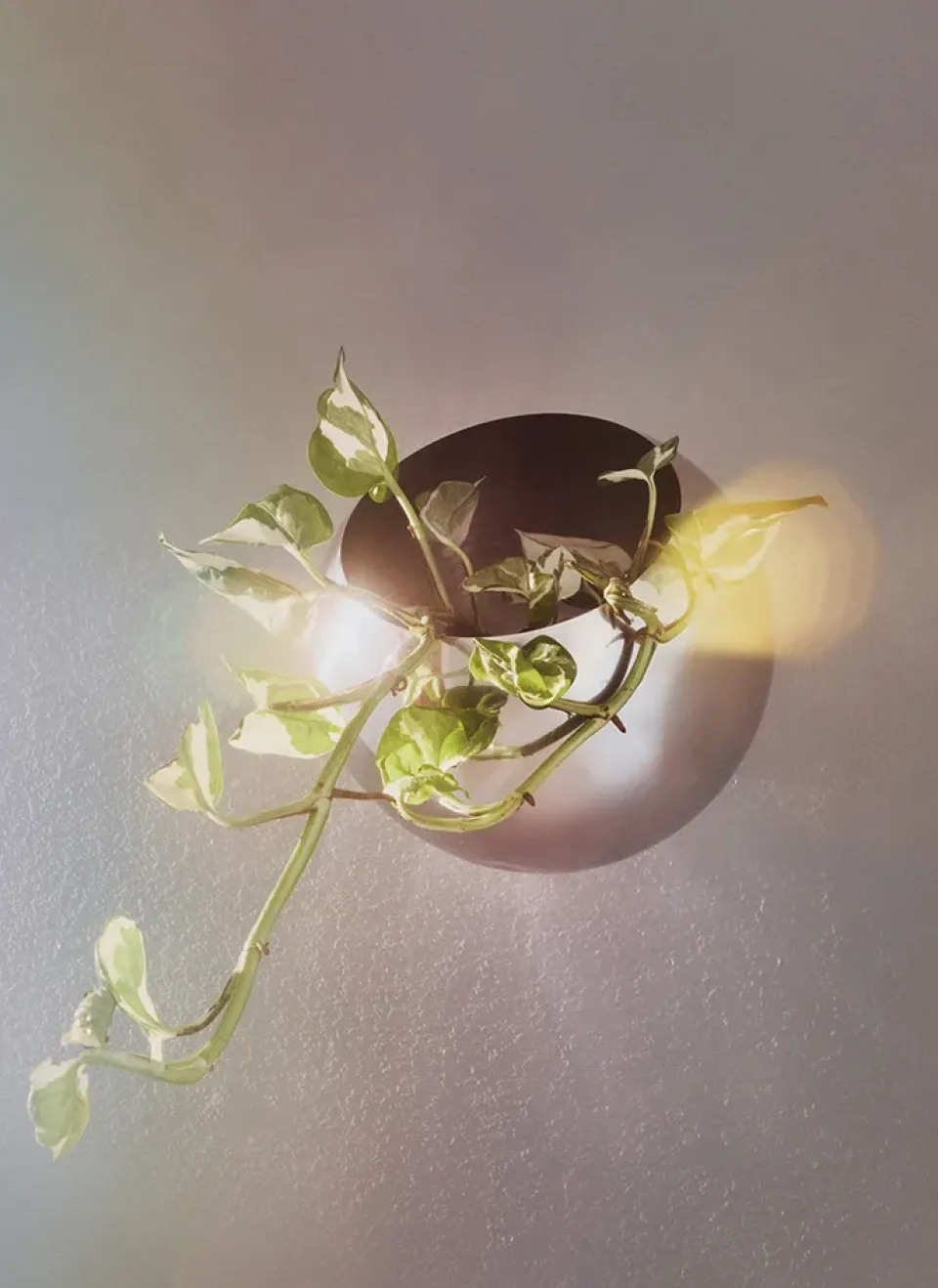 Sale AYTM Maceta de pared Globe Ø17 cm, Plata Plateado