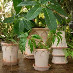 Hot Bergs Potter Maceta Elizabeth Ø12 cm, Rose Rosa