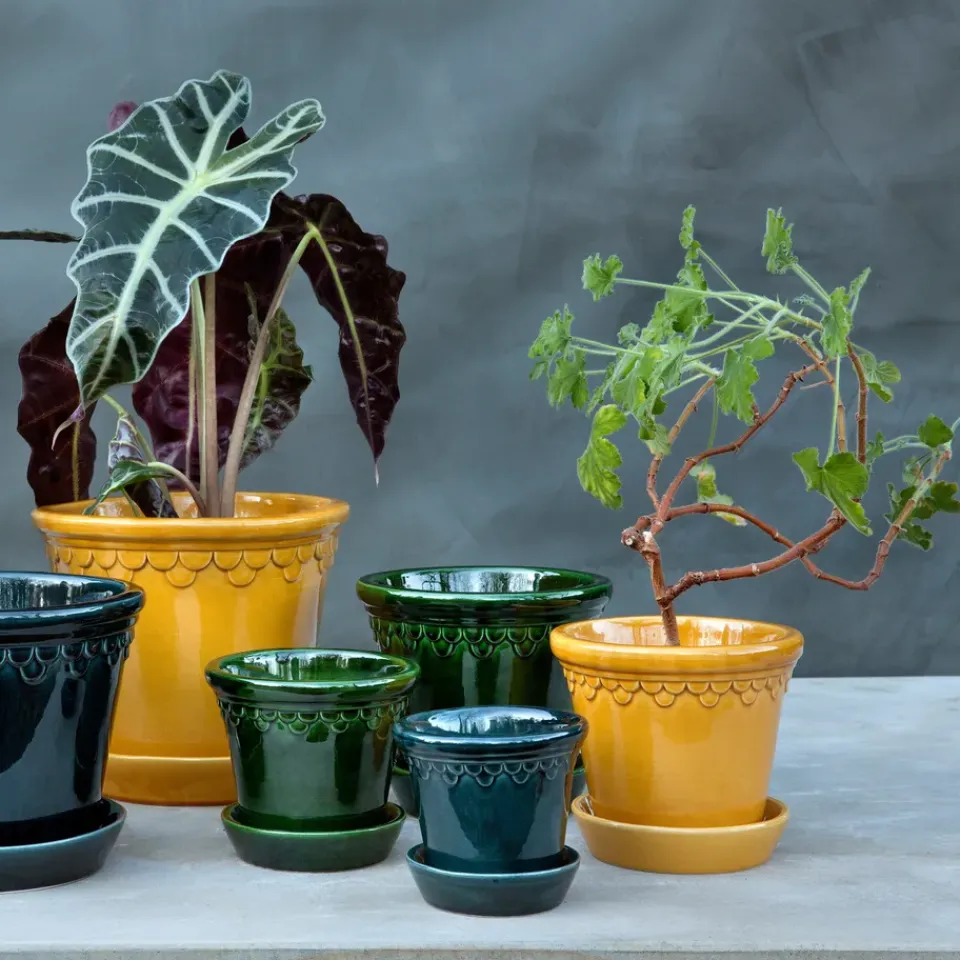 Discount Bergs Potter Maceta esmaltada Københavner Ø12 cm, Verde