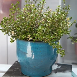 Hot Knabstrup Keramik Maceta exterior Knabstrup Ø16,5 cm, polvo Azul