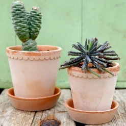 Clearance Bergs Potter Maceta Helena Ø14 cm, Rosa