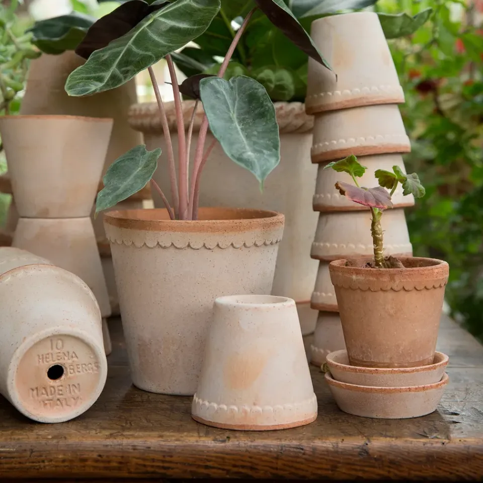 Outlet Bergs Potter Maceta Helena Ø10 cm, Rosa