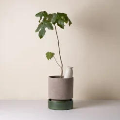 Hot Bergs Potter Maceta Hoff, Ø18 cm, Raw Grey-Emerald Green GrisVerde