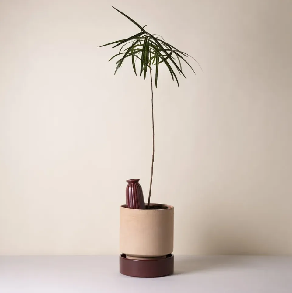 Clearance Bergs Potter Maceta Hoff, Ø18 cm, Raw Rosa-Deep Burgundy RosaPúrpura