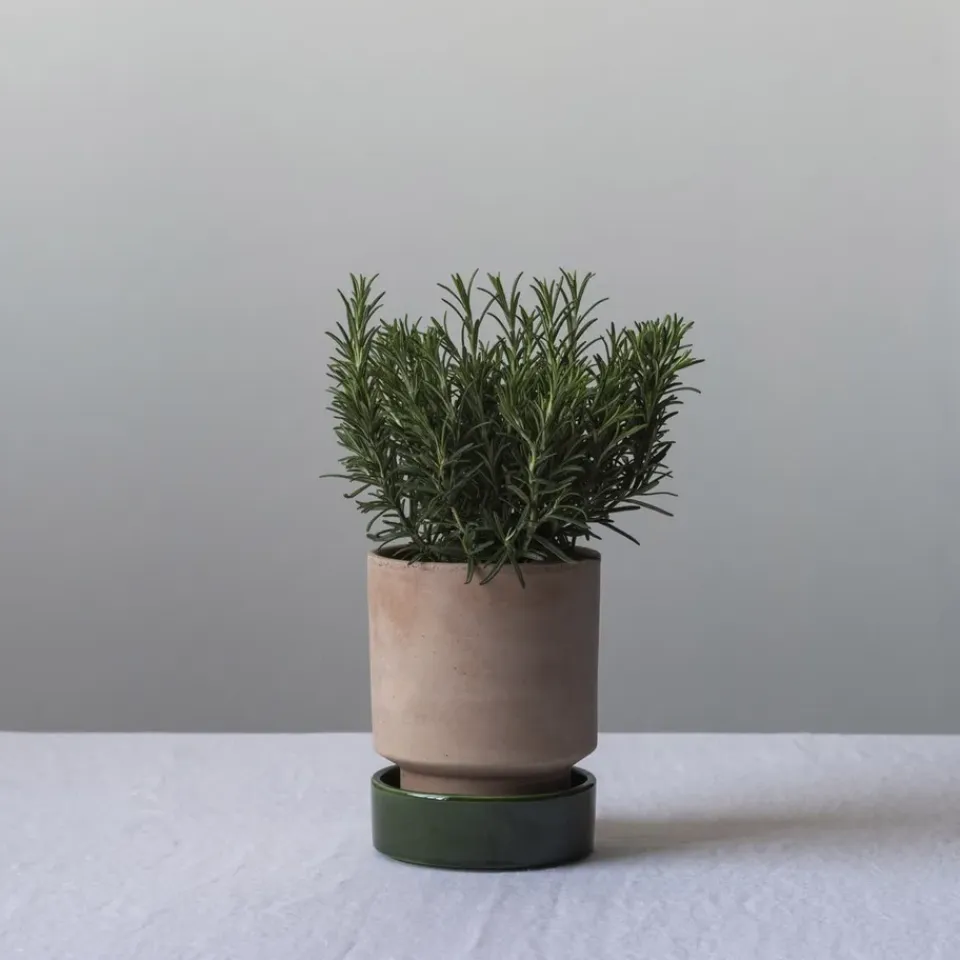 New Bergs Potter Maceta Hoff, Ø14 cm, Raw Rosa-Emerald Green RosaVerde