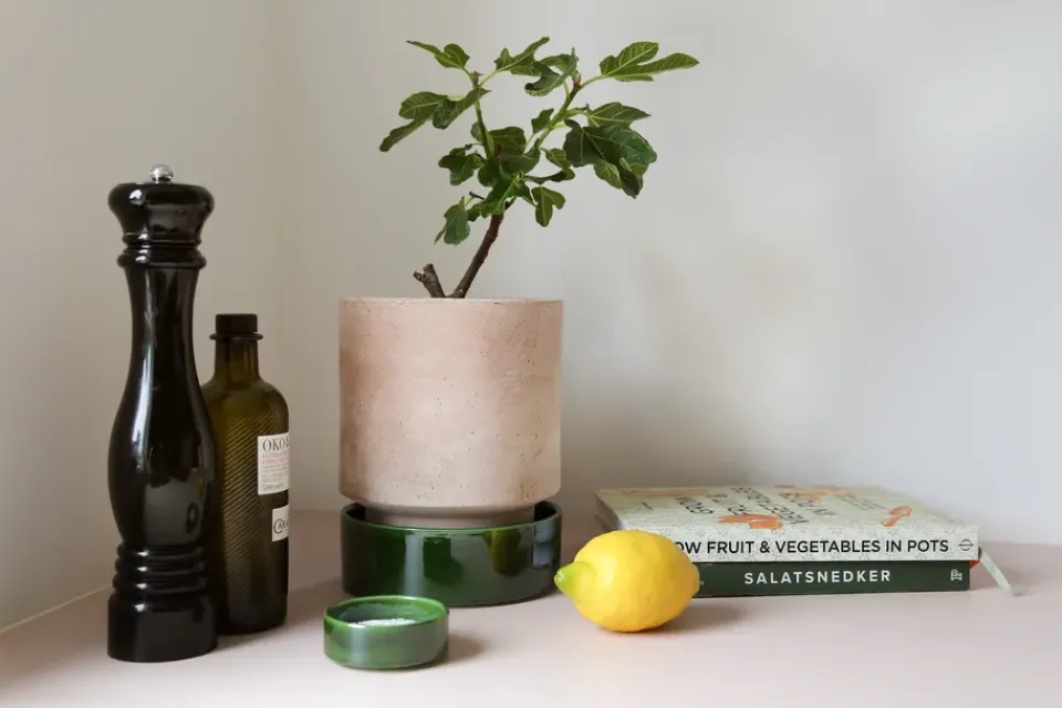 Clearance Bergs Potter Maceta Hoff, Ø14 cm, Raw Rosa-Misty Blue RosaAzul