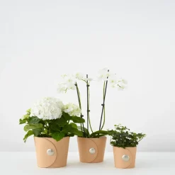 Clearance A2 Maceta Hug, claro, altura h12 cm ø14 cm Marrón
