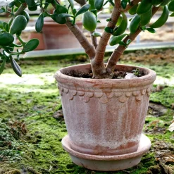 Sale Bergs Potter Maceta Københavner 21 cm, Rosa