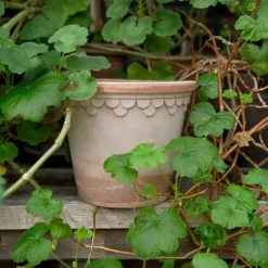 Hot Bergs Potter Maceta Københavner Ø16 cm, Rosa
