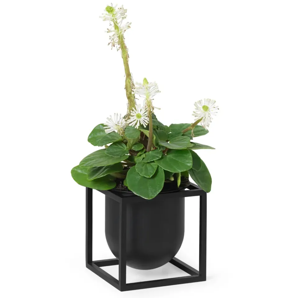 Best Audo Copenhagen Maceta Kubus 10 cm, Negro