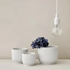 New Lyngby Porcelæn Maceta Lyngby, , Ø14,5 cm Blanco