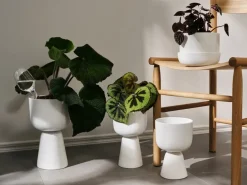 Outlet Iittala Maceta Nappula h32 cm Ø19 cm, Blanco