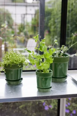 Hot Sagaform Maceta para especias Elise Ø11 cm, Verde