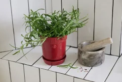 Sagaform Maceta para especias Elise Ø11 cm, Burdeos Rojo