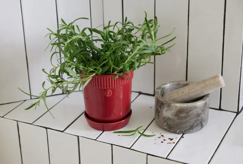 Sagaform Maceta para especias Elise Ø11 cm, Burdeos Rojo