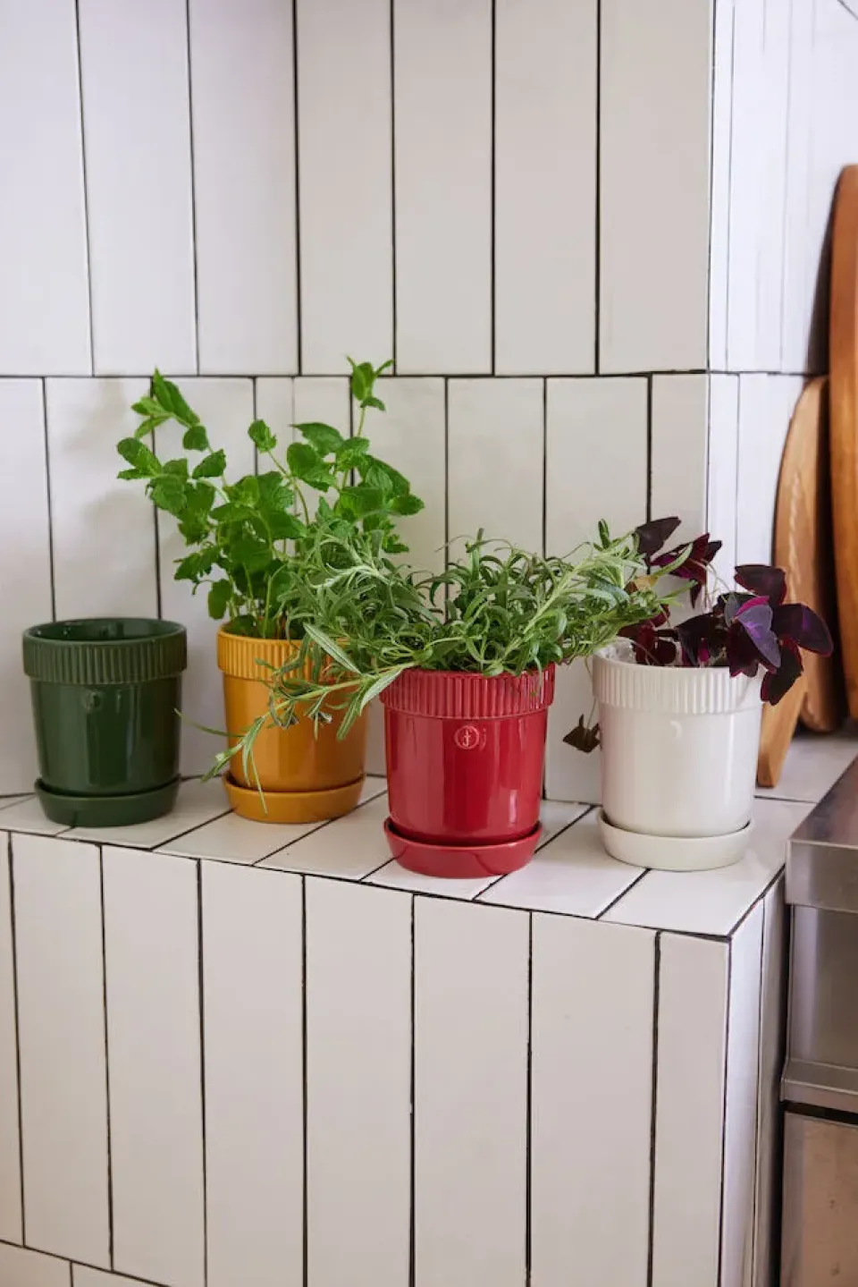 Sagaform Maceta para especias Elise Ø11 cm, Burdeos Rojo