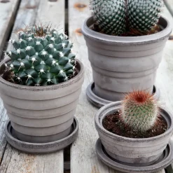 Outlet Bergs Potter Maceta Planet Mars Ø12 cm, Gris