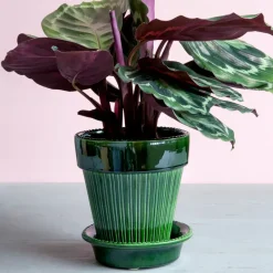 Sale Bergs Potter Maceta Simona esmaltada Ø16 cm, Verde