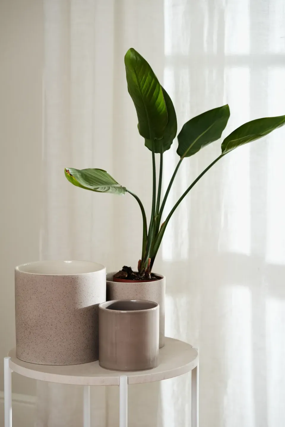 Best Scandi Living Maceta Sleek Ø12 cm, Beige